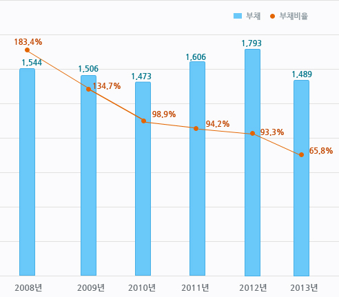 2008년부터 2013년까지 부채현황