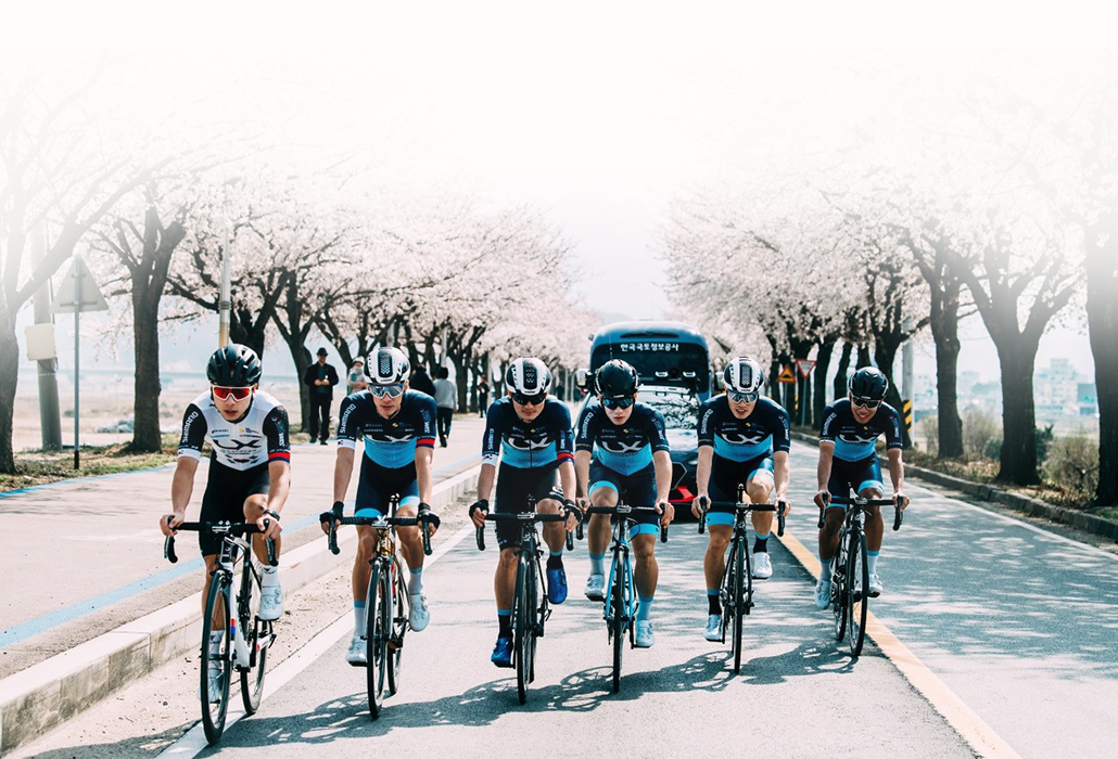 도로 위에서 사이클 유니폼을 입은 자전거 팀이 단체로 주행 중인 모습, 벚꽃길 배경